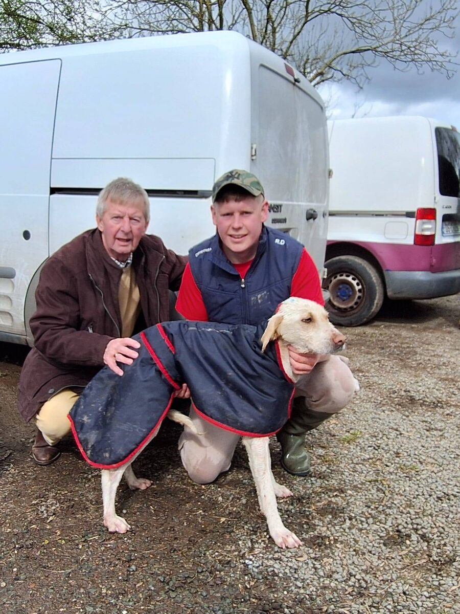 Clogheen trainers William Freyne and Ryan Duffy with Not Now Ike. Clogheen trainers William Freyne and Ryan Duffy with Not Now Ike.