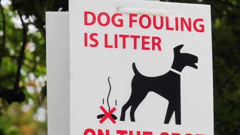 No dog fouling fines issued in Cork city in first three months of year No dog fouling fines issued in Cork city in first three months of year