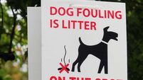 No dog fouling fines issued in Cork city in first three months of year
