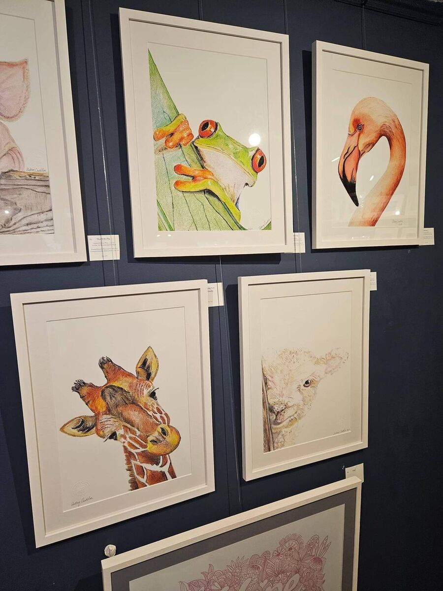Audrey Cantillon's artwork. Audrey Cantillon's artwork.