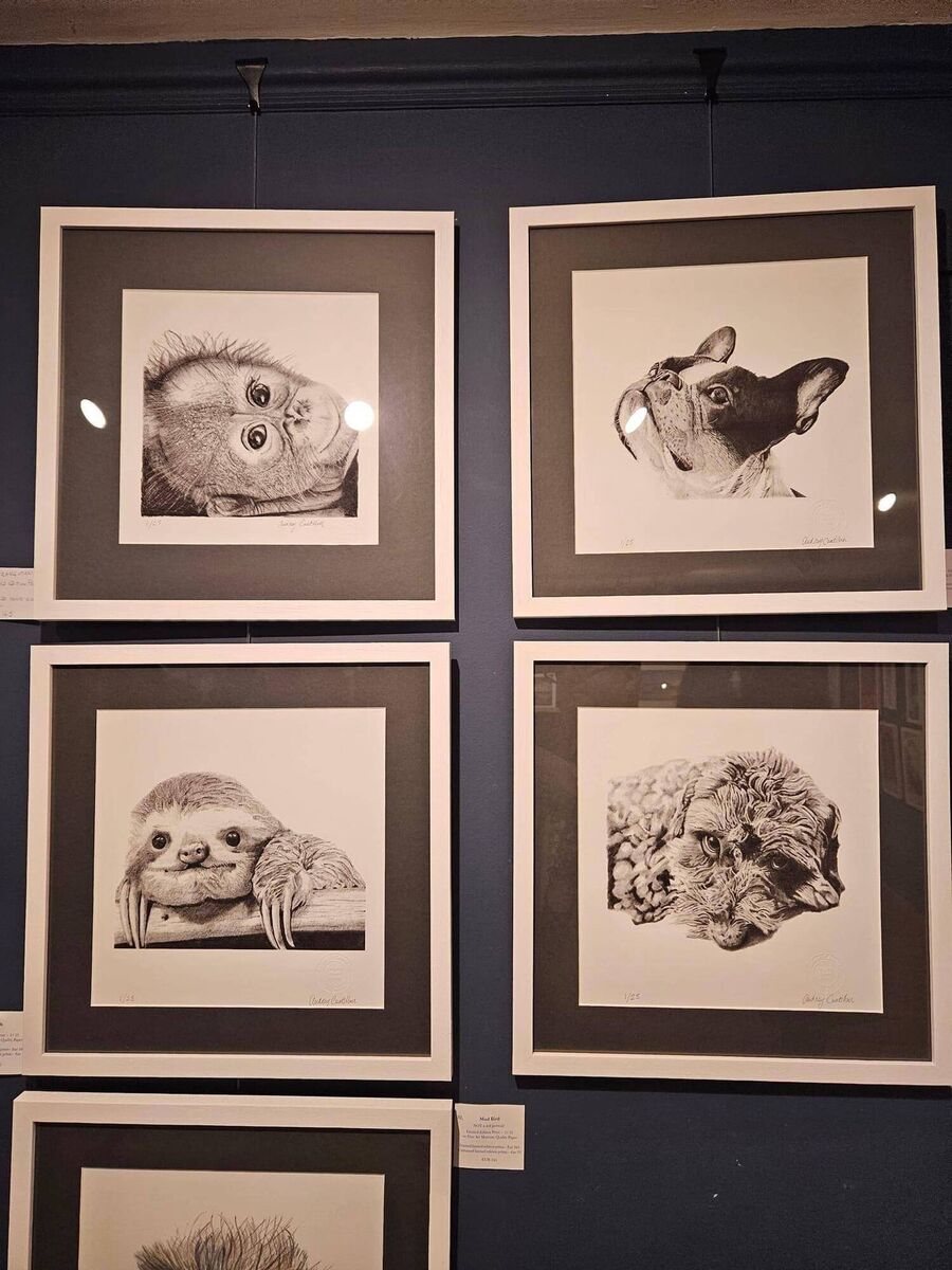 Audrey Cantillon's artwork. Audrey Cantillon's artwork.