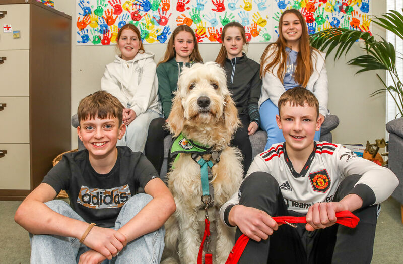 (Back Row) Grace Clarkson, Hannah Coffey, Skye Dinneen, Leah Walsh (Front) Franek Sobczak and Fred O'Sullivan, pupils of the Educate Together school on Grattan Street, Cork with assistance dog Shaye. Picture: David Creedon. (Back Row) Grace Clarkson, Hannah Coffey, Skye Dinneen, Leah Walsh (Front) Franek Sobczak and Fred O'Sullivan, pupils of the Educate Together school on Grattan Street, Cork with assistance dog Shaye. Picture: David Creedon.