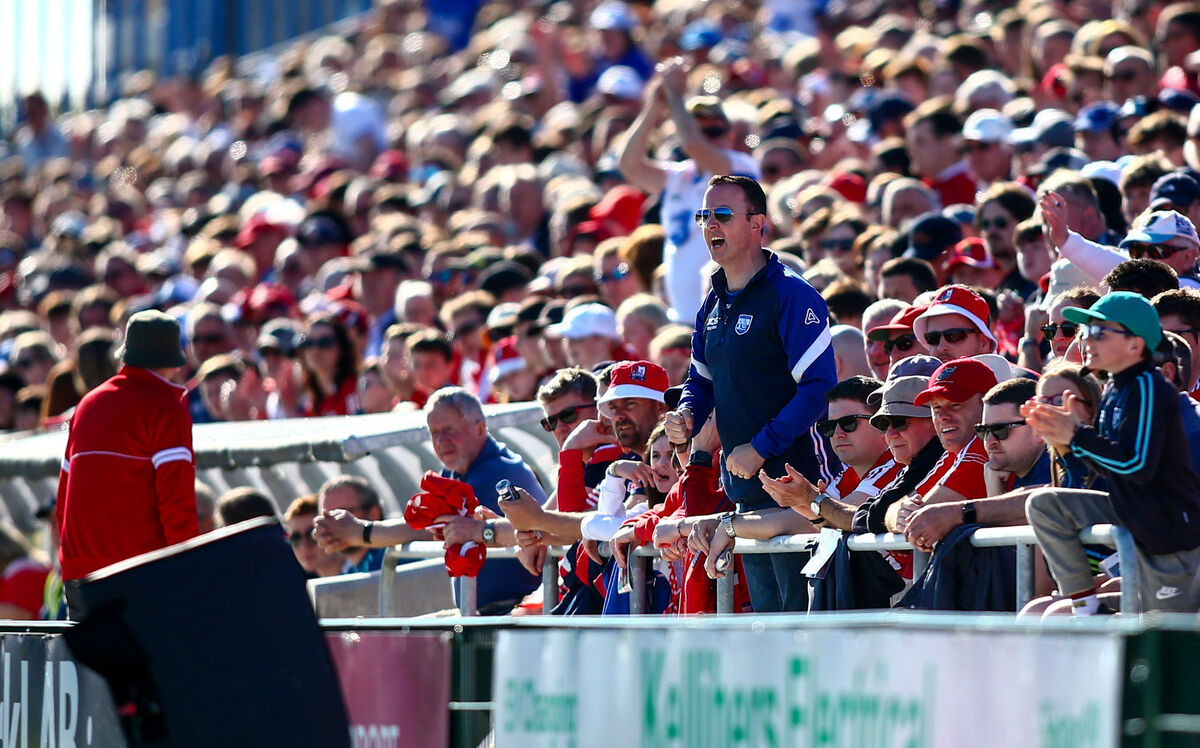 A Waterford fan celebrates a score. Picture: INPHO/Ken Sutton A Waterford fan celebrates a score. Picture: INPHO/Ken Sutton