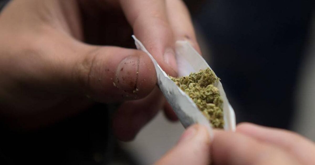 Suspended sentence for Corkman who used cannabis to self-medicate for back pain - Vimarsana News