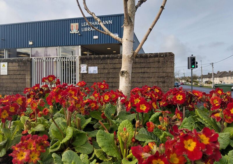 An extension of Mayfield Library is planned. 