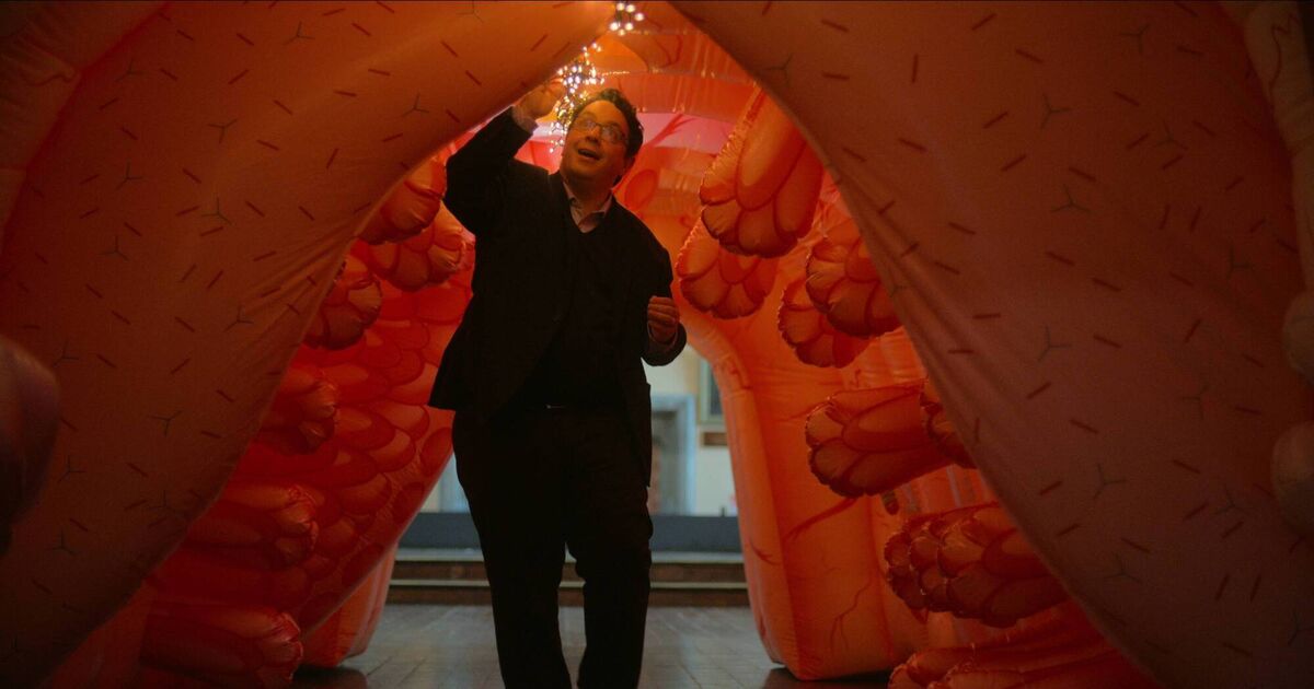 UCC professor sharing his expertise in new Netflix documentary about gut health - Vimarsana News