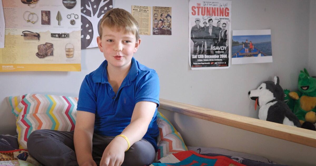 Cork boy who discovered 5,000-year-old arrowhead on beach to feature in RTÉ show - Vimarsana News