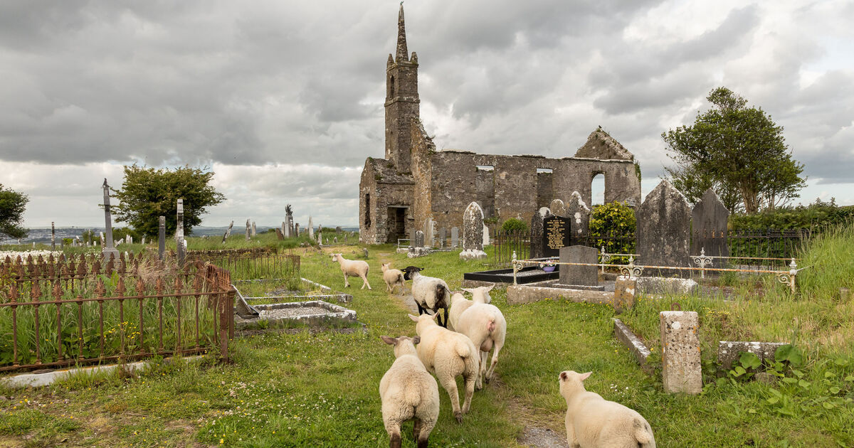 Eight Cork heritage sites to benefit from funding - Vimarsana News
