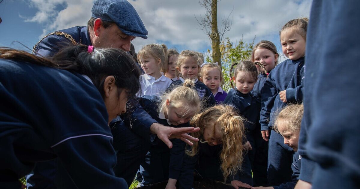Pictures: Lord Mayor visits Cork primary students participating in Grow at School programme - Vimarsana News