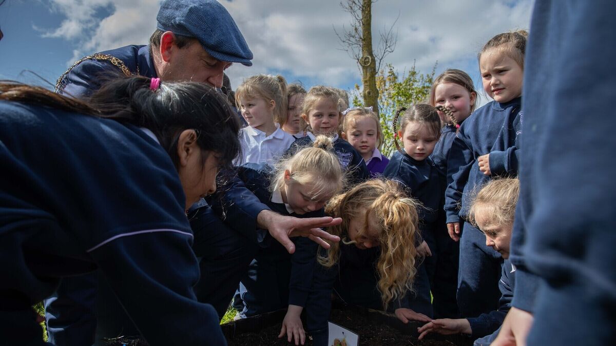 Pictures: Lord Mayor visits Cork primary students participating in Grow at School programme