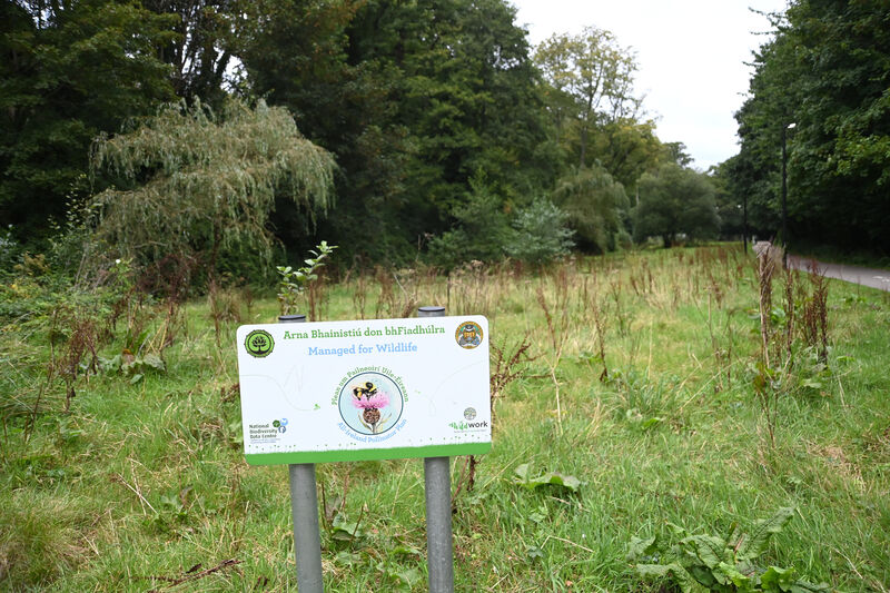 There are calls for the extension of Mangala walkway upwards and alongside the stream valley, connecting to the new housing estates. Pic: Larry Cummins There are calls for the extension of Mangala walkway upwards and alongside the stream valley, connecting to the new housing estates. Pic: Larry Cummins