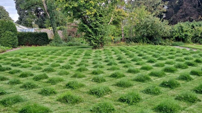 In the Garden: Get creative to make lawn a wildlife haven In the Garden: Get creative to make lawn a wildlife haven
