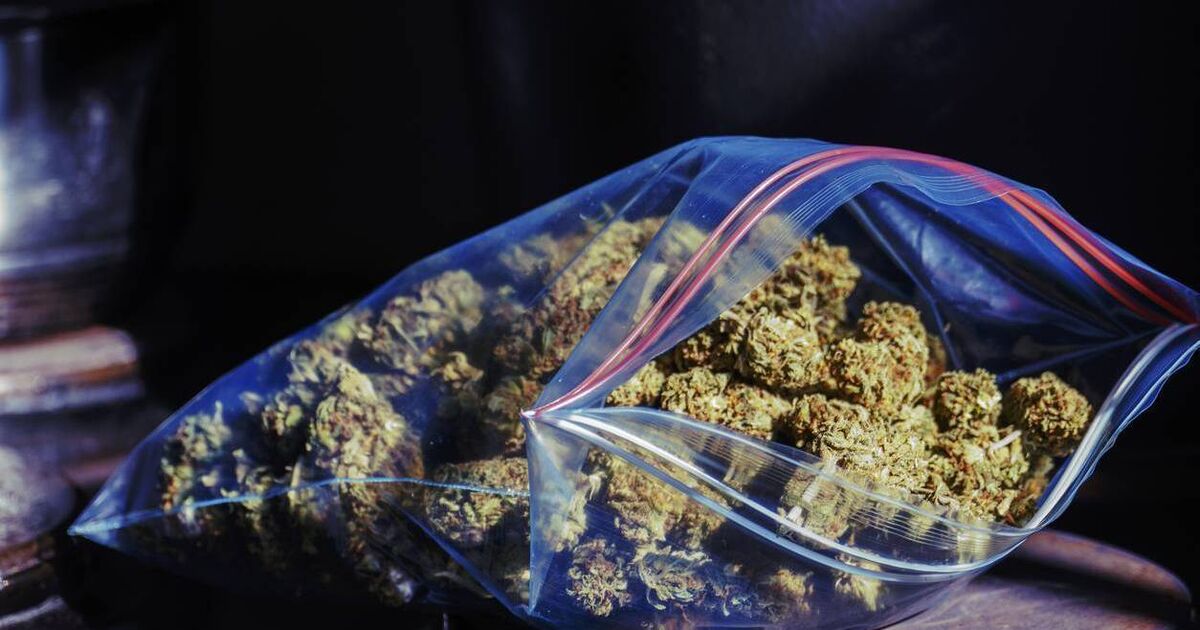 Man caught with €300k stash of cannabis in Sunday's Well jailed - Vimarsana News