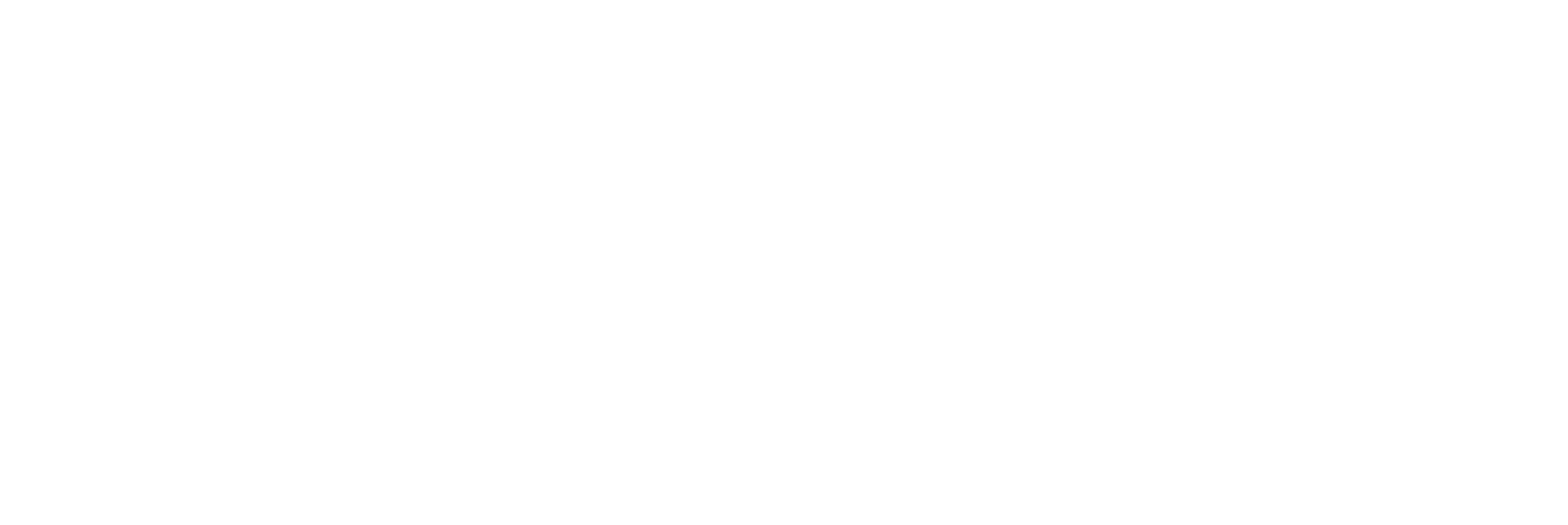 Echo Logo