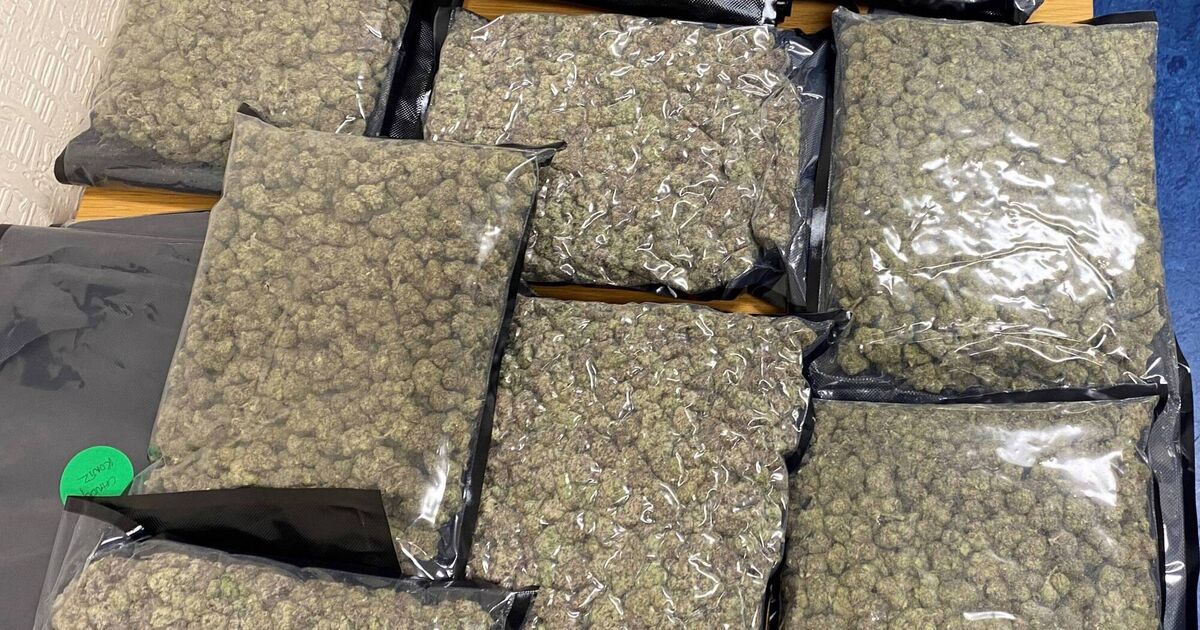 Man to appear in court following discovery of €80k worth of drugs in Cork - Vimarsana News