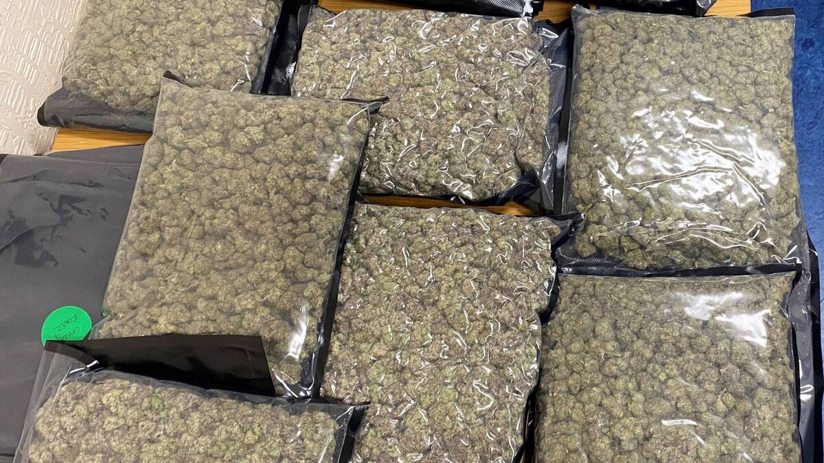 Man to appear in court following discovery of €80k worth of drugs in Cork