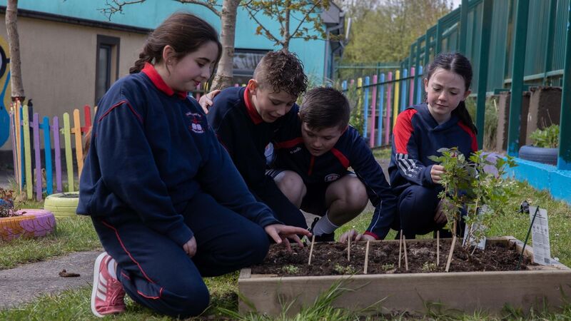 All About Cork: Holy Communions and community grants in Knocknaheehy All About Cork: Holy Communions and community grants in Knocknaheehy