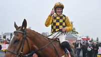 Punchestown Festival - Day Four