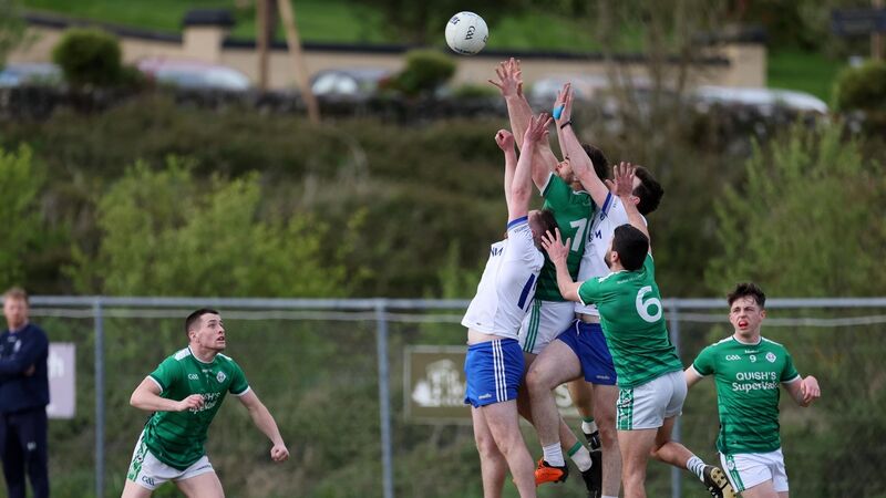 Anal teshik foto biologiya