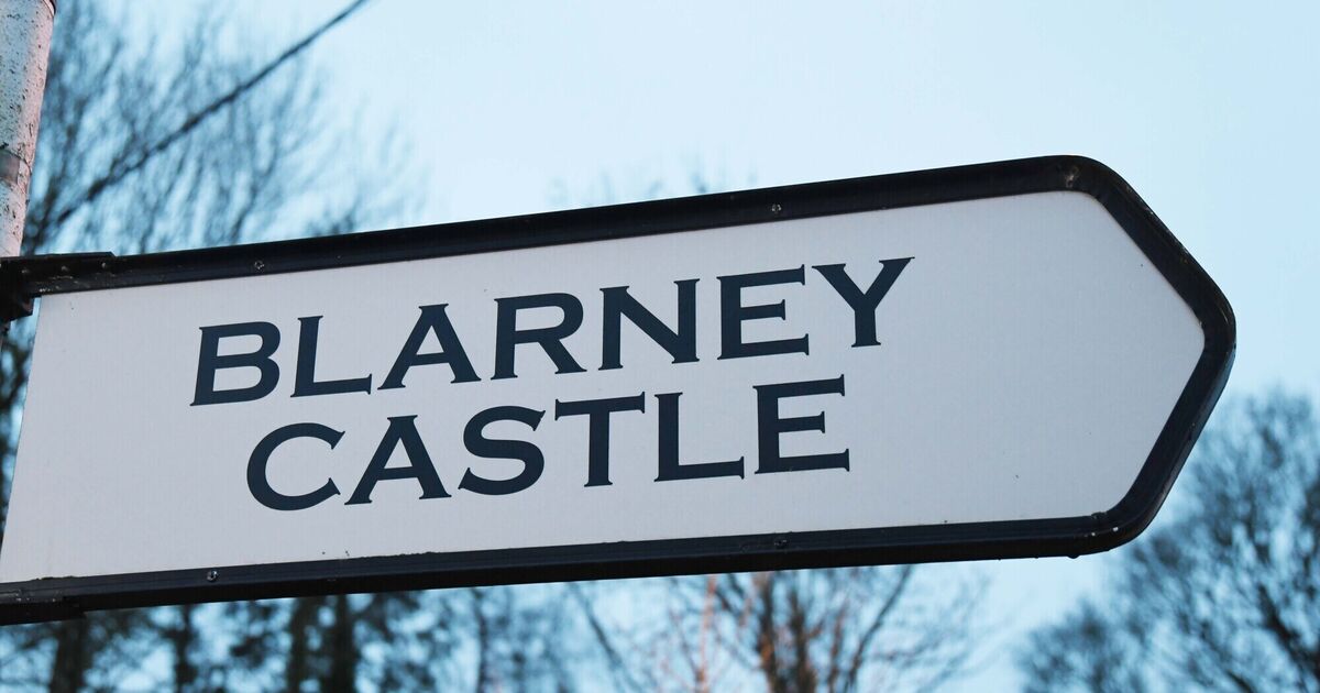 Emergency services carry out 'complicated rescue' after tourist suffers fall at Blarney Castle - Vimarsana News
