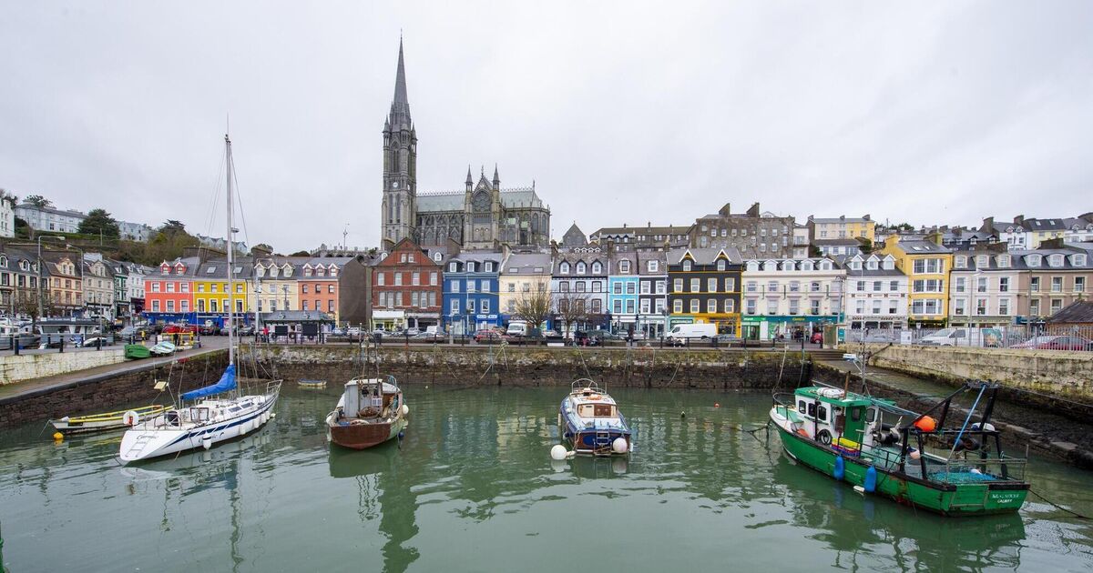 Local elections 2024: Roads, housing and increased amenities among key issues in Cobh MD - Vimarsana News