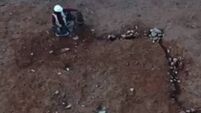 WATCH: Footage shows excavation of early Neolithic house in Cork