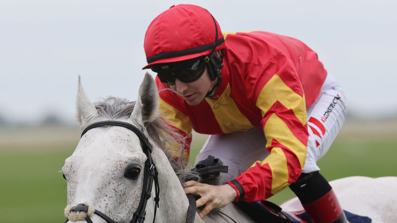Upton trainer John Murphy heading in the right direction Upton trainer John Murphy heading in the right direction