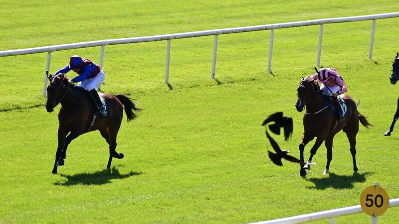 Cork Racing: Wayne Lordan scores big win on home turf