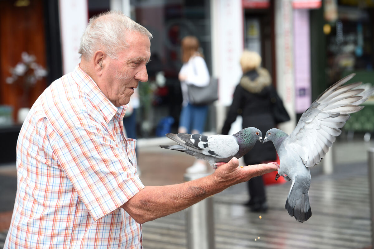  Frank O’Flaherty feeding the pigeons at Daunt Square. Picture: Dan Linehan