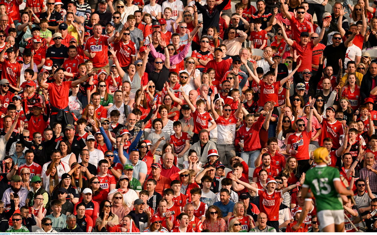 Cork supporters react to a decision. Picture: Daire Brennan/Sportsfile