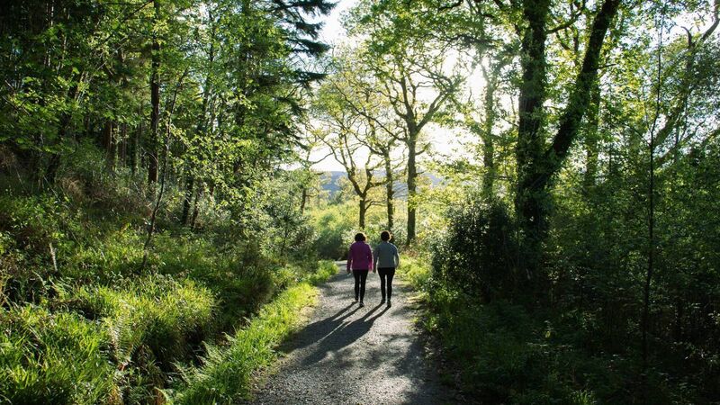 Plenty of family events to enjoy in Cork during Biodiversity Week