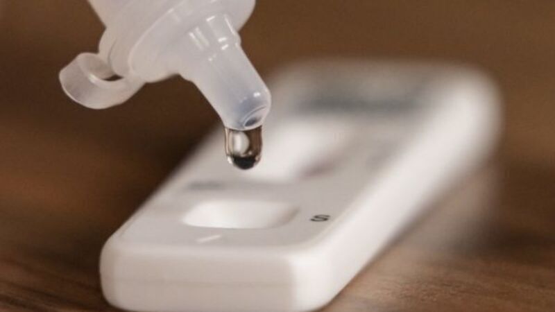 Man appears in court accused of forging Covid-19 test results to travel around Europe Man appears in court accused of forging Covid-19 test results to travel around Europe