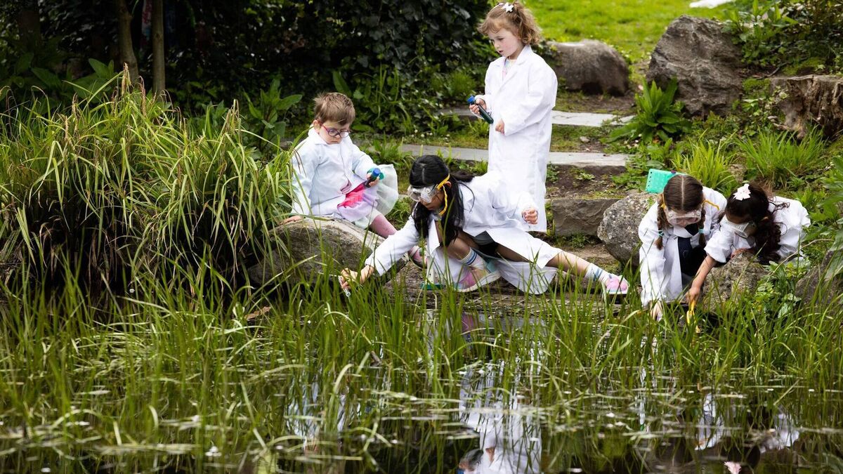 Cork's Fitzgerald Park to host two-day Carnival of Science extravaganza