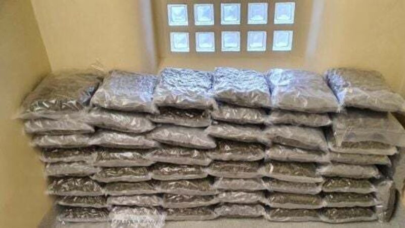 Suspected cannabis worth €1m seized in Co Meath Suspected cannabis worth €1m seized in Co Meath