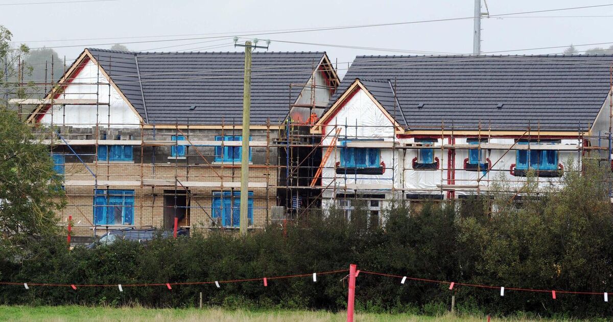 Local elections 2024: Housing is key election issue in West Cork - Vimarsana News