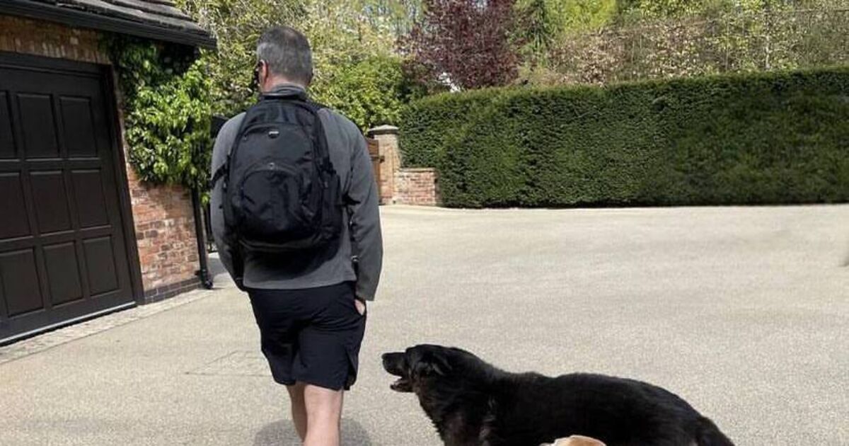 'We will miss you': Roy Keane shares tribute to beloved family pet - Vimarsana News