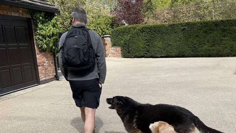 'We will miss you': Roy Keane shares tribute to beloved family pet 'We will miss you': Roy Keane shares tribute to beloved family pet