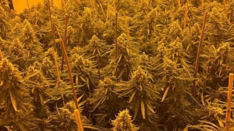 Three men arrested after drugs worth €768,000 seized in Louth Three men arrested after drugs worth €768,000 seized in Louth