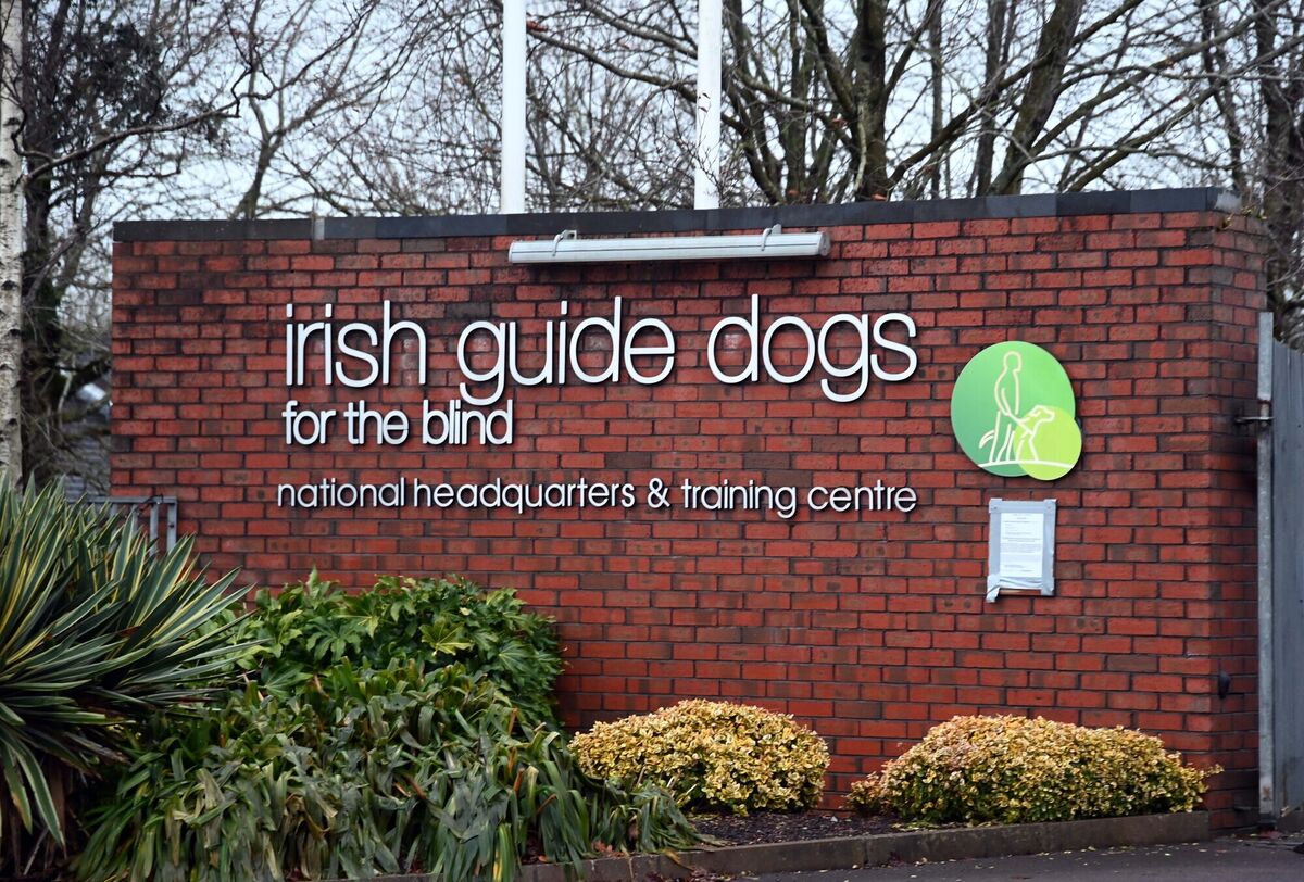 Irish Guide Dogs for the Blind national headquarters & training centre, Model Farm Road, Cork. Picture Denis Minihane. Irish Guide Dogs for the Blind national headquarters & training centre, Model Farm Road, Cork. Picture Denis Minihane.