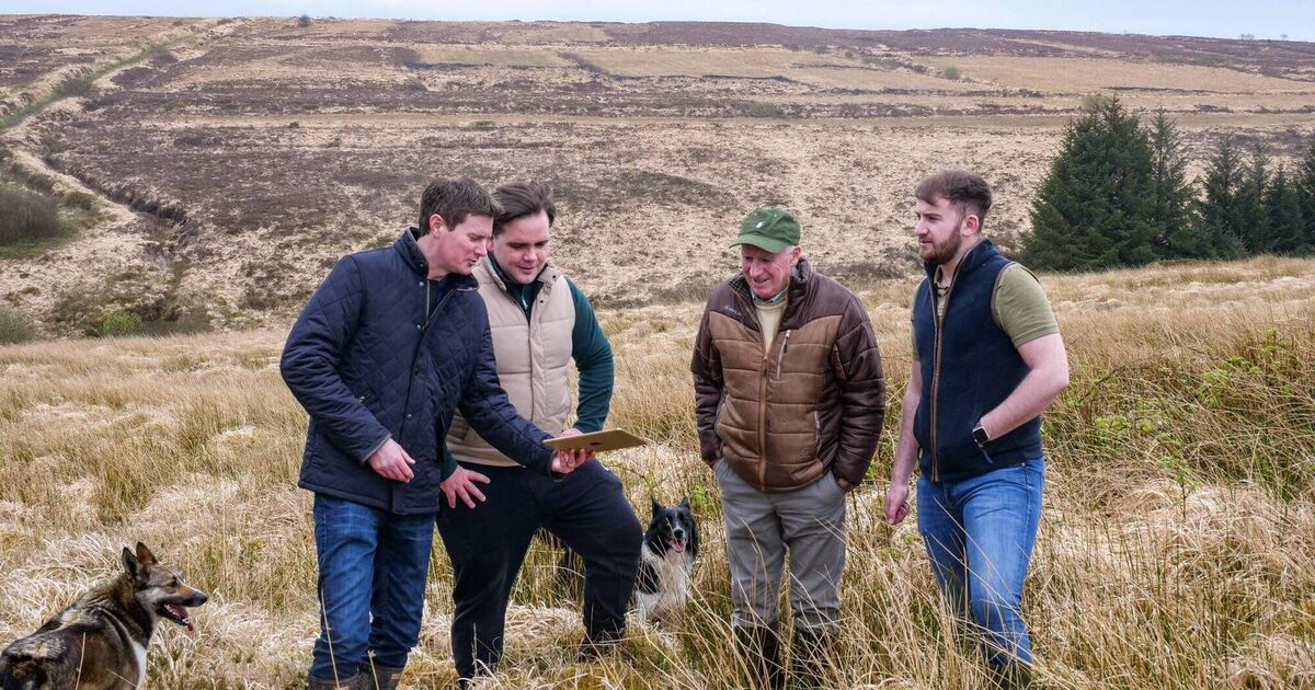 ConnectGreen launches biodiversity credits and carbon offsetting platform - Vimarsana News