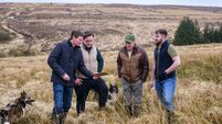 ConnectGreen launches biodiversity credits and carbon offsetting platform