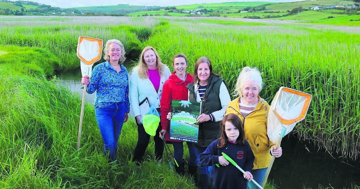 Women for Wetlands in Cork are on a mission - Vimarsana News