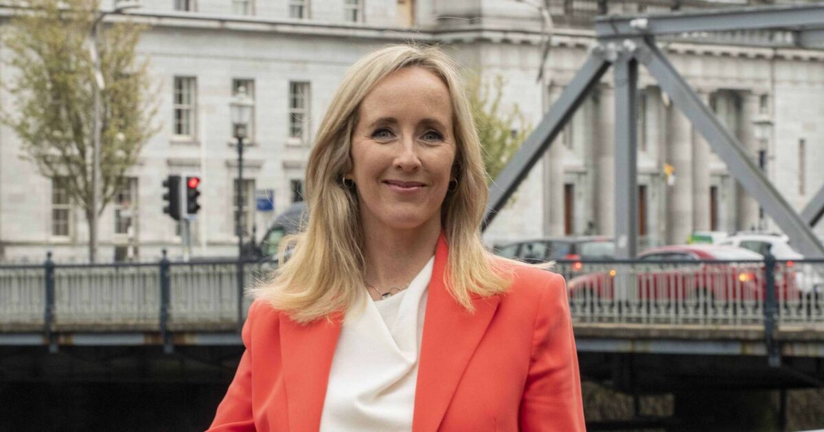 CIF Southern Region Director: We are delivering world class projects in Cork and beyond - Vimarsana News