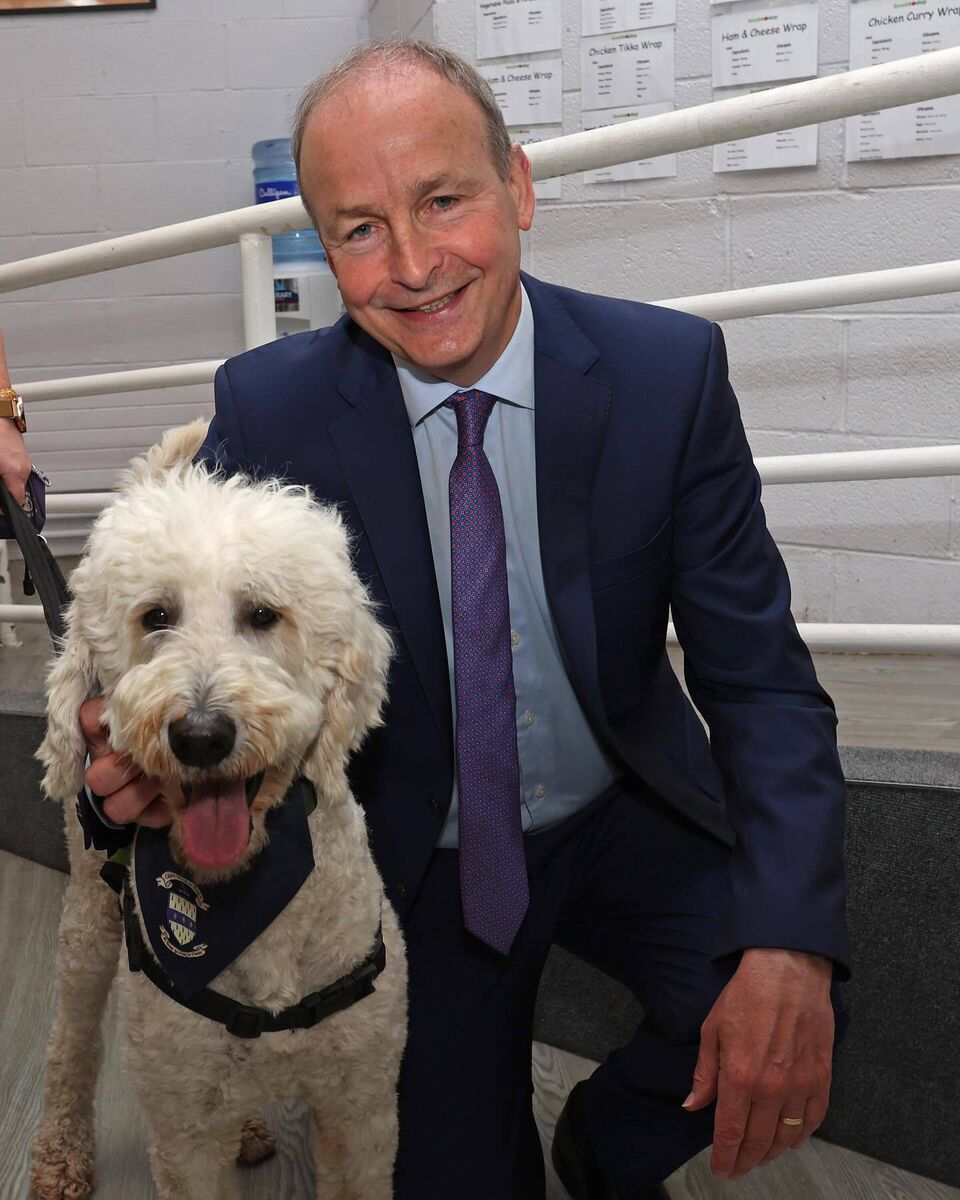 Tánaiste Micheál Martin pictured with Nagle Community College's therapy dog, Floydd, during a recent visit to the school. Tánaiste Micheál Martin pictured with Nagle Community College's therapy dog, Floydd, during a recent visit to the school.