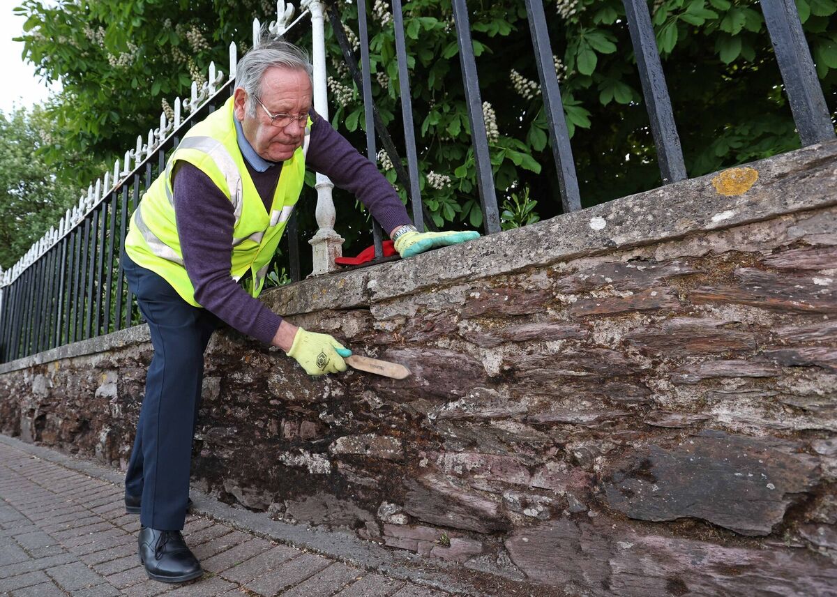  James Ronan from Fermoy Tidy Towns. Picture: Jim Coughlan.