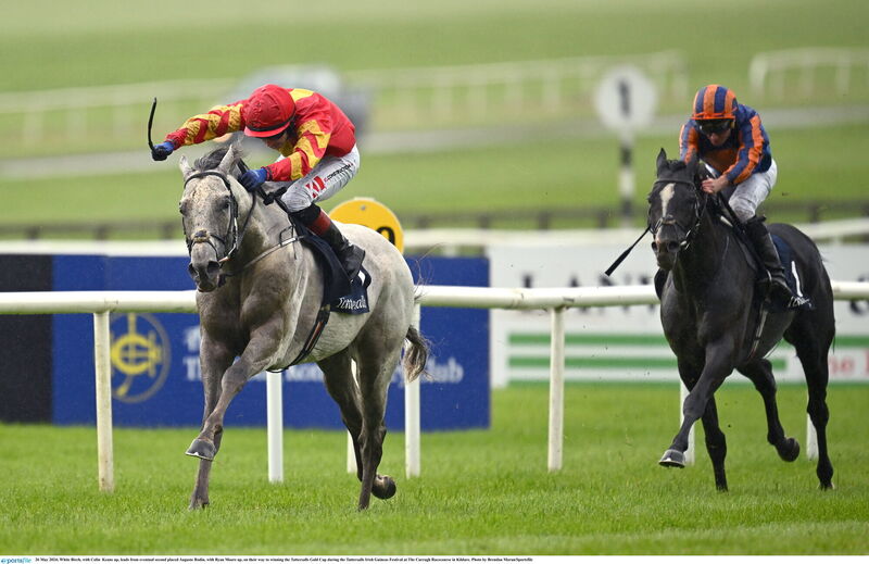 White Birch, with Colin Keane up, leads from eventual second placed Auguste Rodin, with Ryan Moore up, on their way to winning the Tattersalls Gold Cup during the Tattersalls Irish Guineas Festival at The Curragh Racecourse in Kildare. Photo by Brendan Moran/Sportsfile White Birch, with Colin Keane up, leads from eventual second placed Auguste Rodin, with Ryan Moore up, on their way to winning the Tattersalls Gold Cup during the Tattersalls Irish Guineas Festival at The Curragh Racecourse in Kildare. Photo by Brendan Moran/Sportsfile