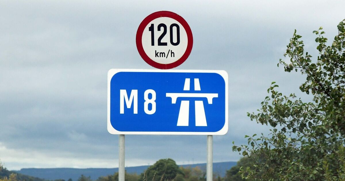 Cork traffic: Animals reported on section of Cork's M8 - Vimarsana News