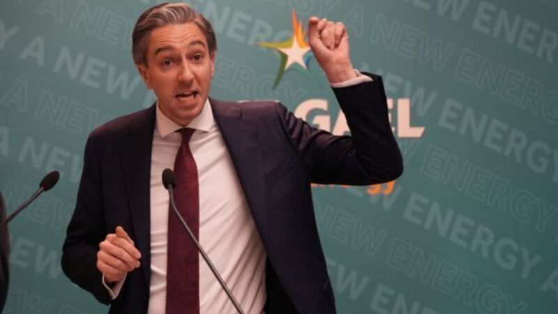 Simon Harris criticises ‘siloed’ approach to disability services