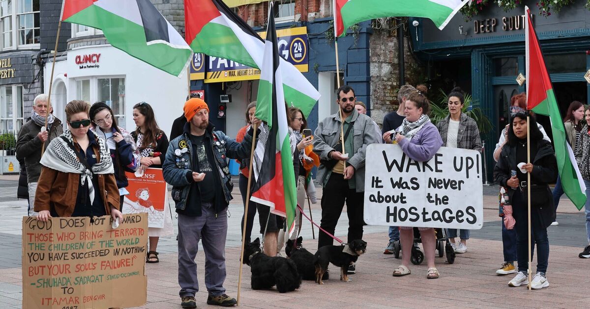 'Ceasefire now': Emergency vigil takes place in Cork for people of Rafah - Vimarsana News