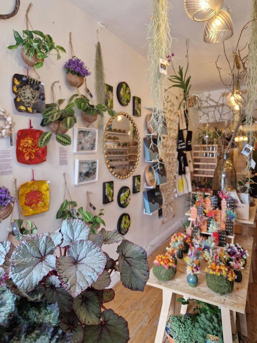 Inside the shop. Inside the shop.